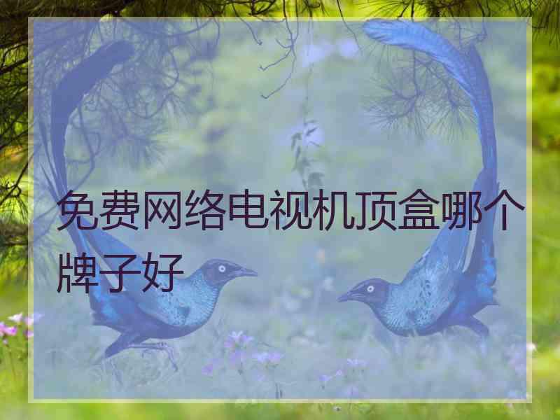 免费网络电视机顶盒哪个牌子好