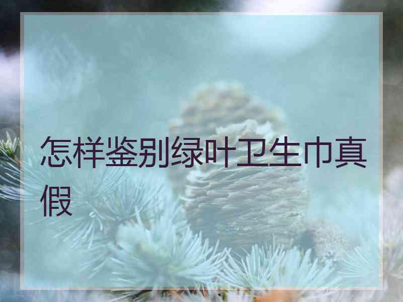 怎样鉴别绿叶卫生巾真假