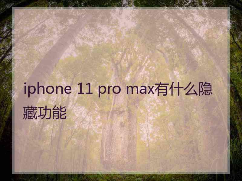 iphone 11 pro max有什么隐藏功能