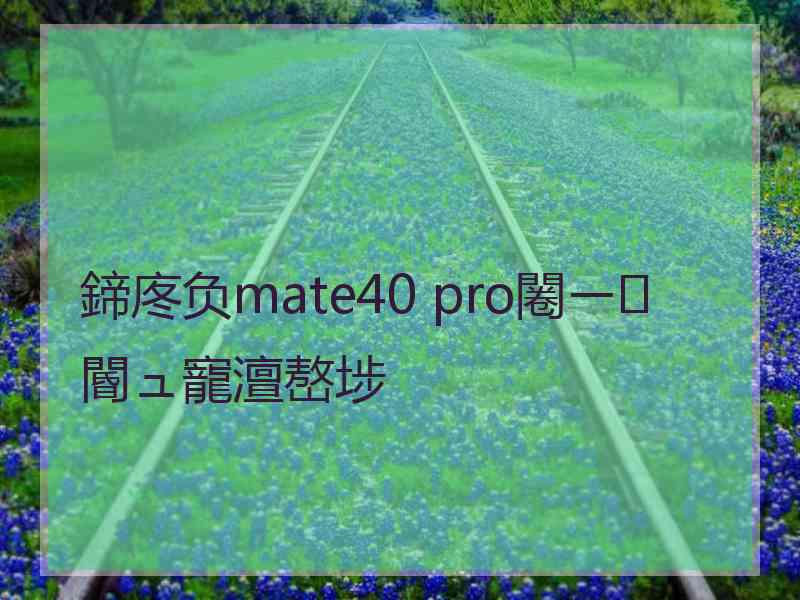 鍗庝负mate40 pro闂ㄧ閽ュ寵澶嶅埗