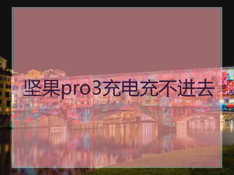 坚果pro3充电充不进去