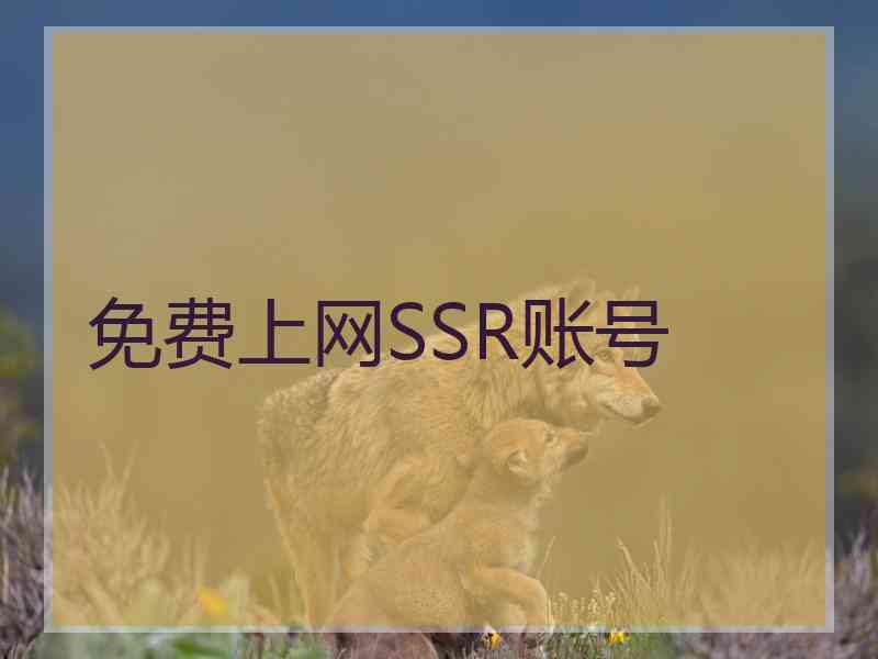 免费上网SSR账号