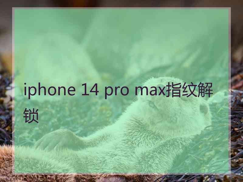 iphone 14 pro max指纹解锁