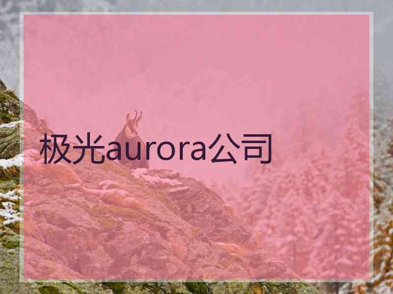 极光aurora公司