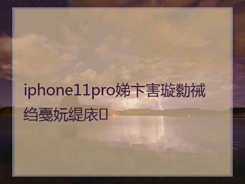 iphone11pro娣卞害璇勬祴绉戞妧缇庡