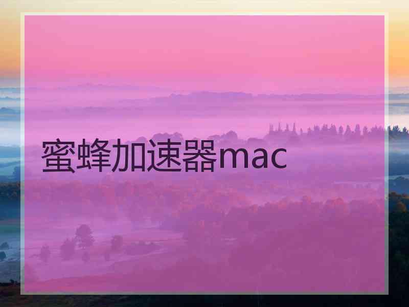 蜜蜂加速器mac