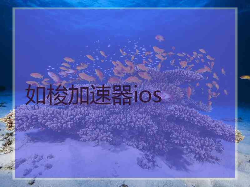 如梭加速器ios