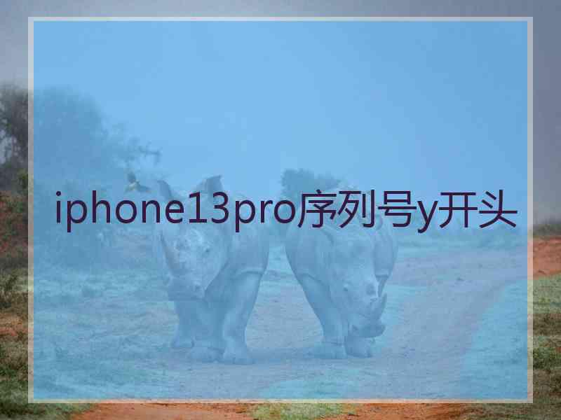 iphone13pro序列号y开头