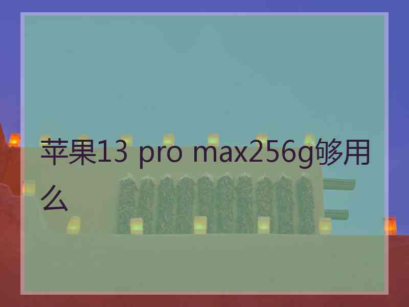 苹果13 pro max256g够用么