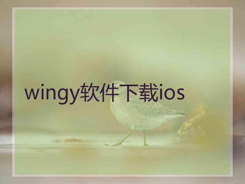 wingy软件下载ios