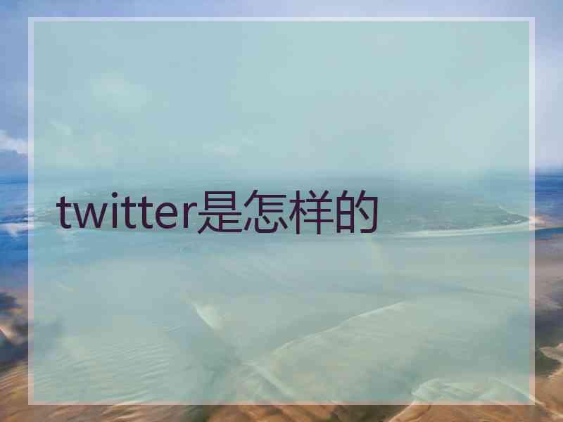 twitter是怎样的