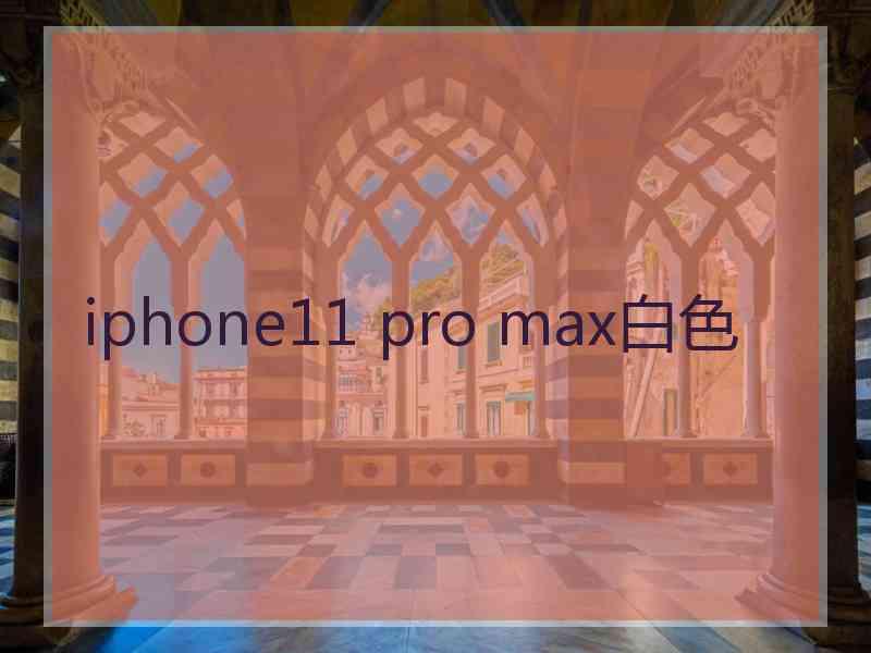 iphone11 pro max白色