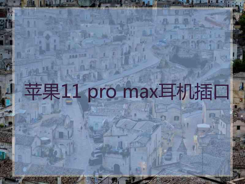 苹果11 pro max耳机插口