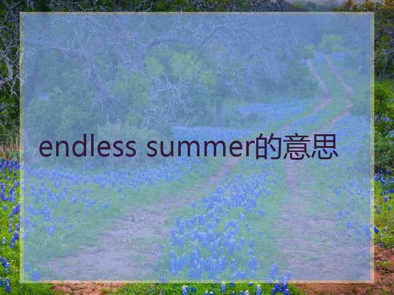 endless summer的意思