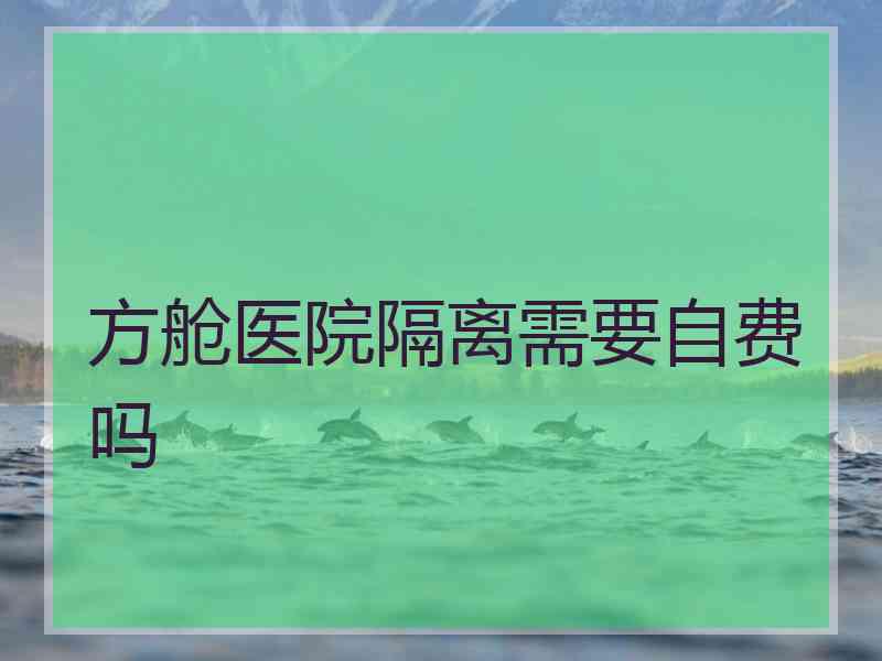 方舱医院隔离需要自费吗