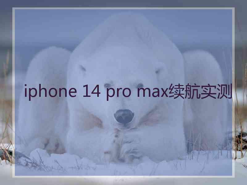 iphone 14 pro max续航实测