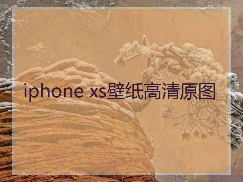 iphone xs壁纸高清原图