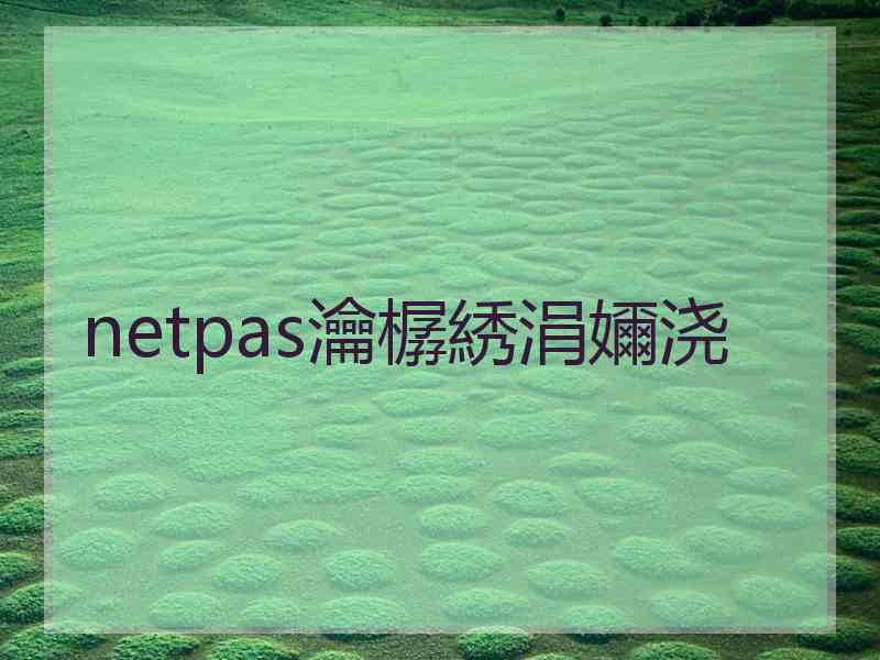 netpas瀹樼綉涓嬭浇