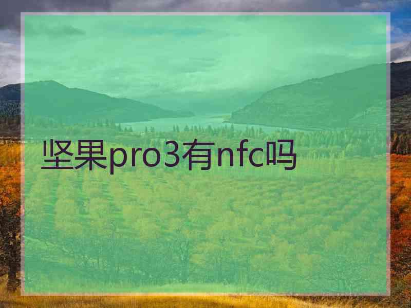 坚果pro3有nfc吗