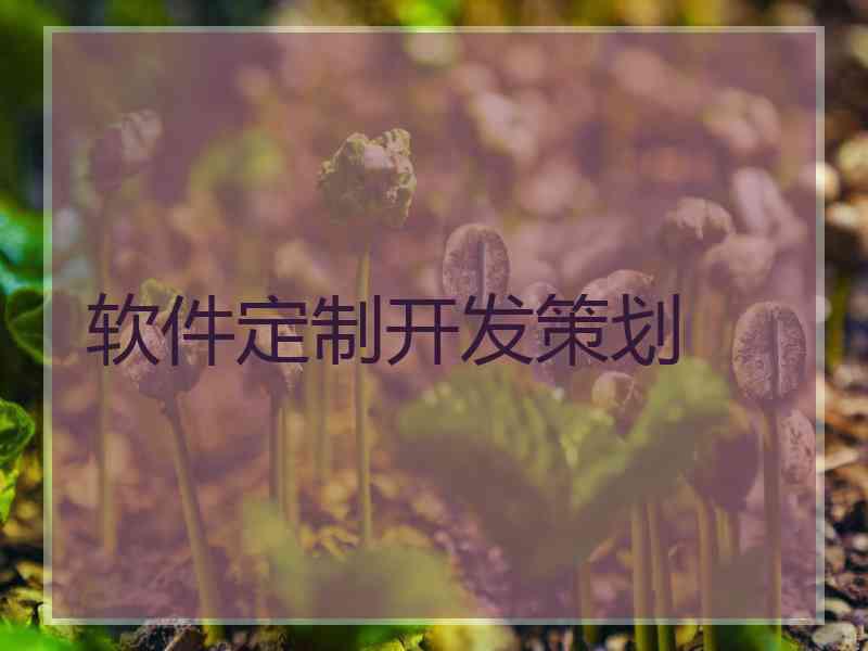 软件定制开发策划