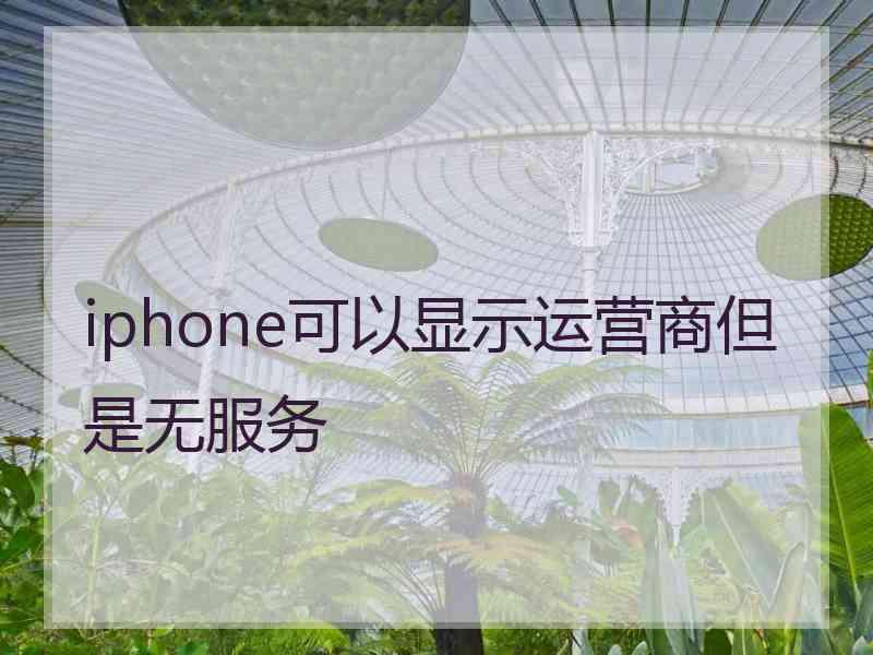 iphone可以显示运营商但是无服务