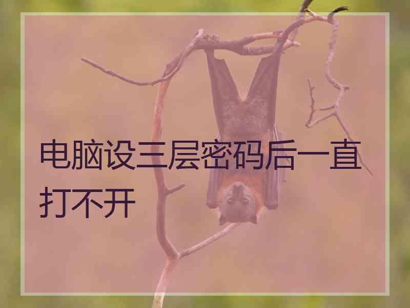 电脑设三层密码后一直打不开