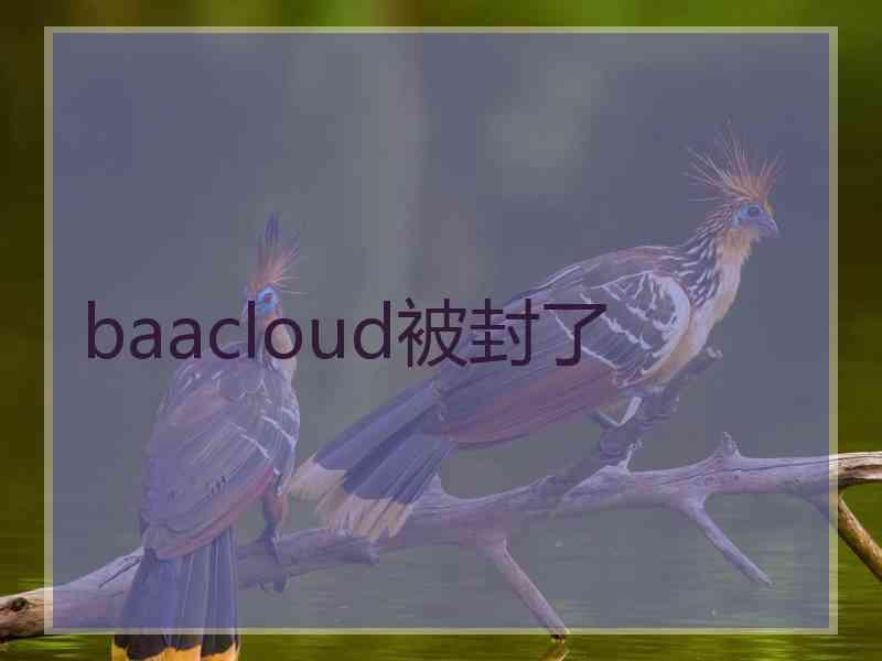 baacloud被封了