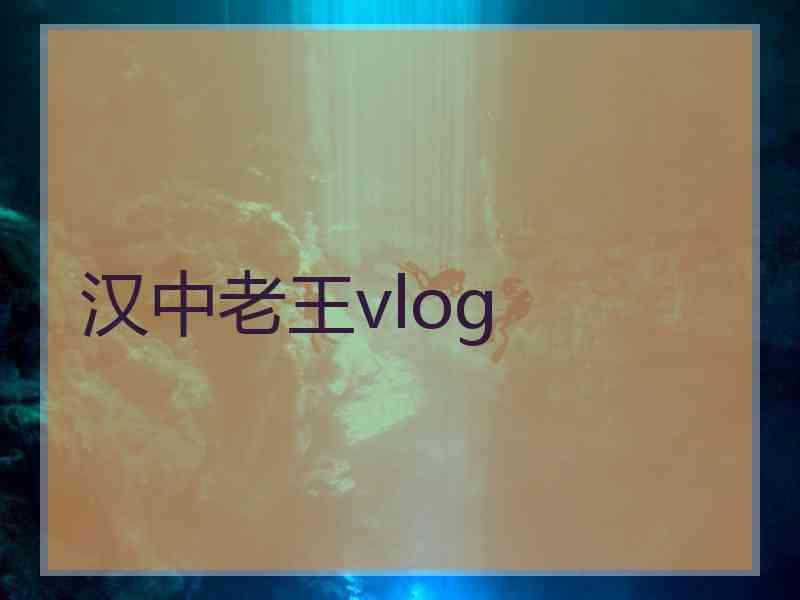 汉中老王vlog