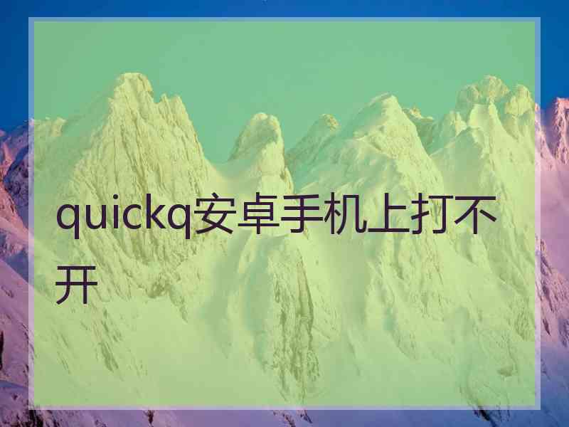 quickq安卓手机上打不开