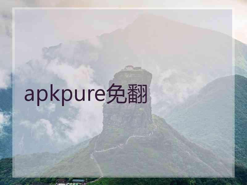 apkpure免翻