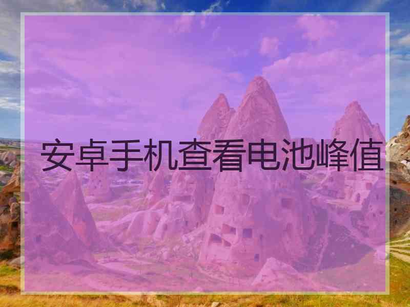 安卓手机查看电池峰值