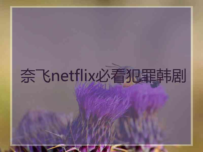 奈飞netflix必看犯罪韩剧