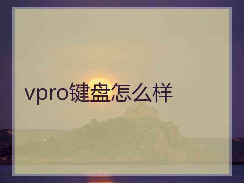 vpro键盘怎么样