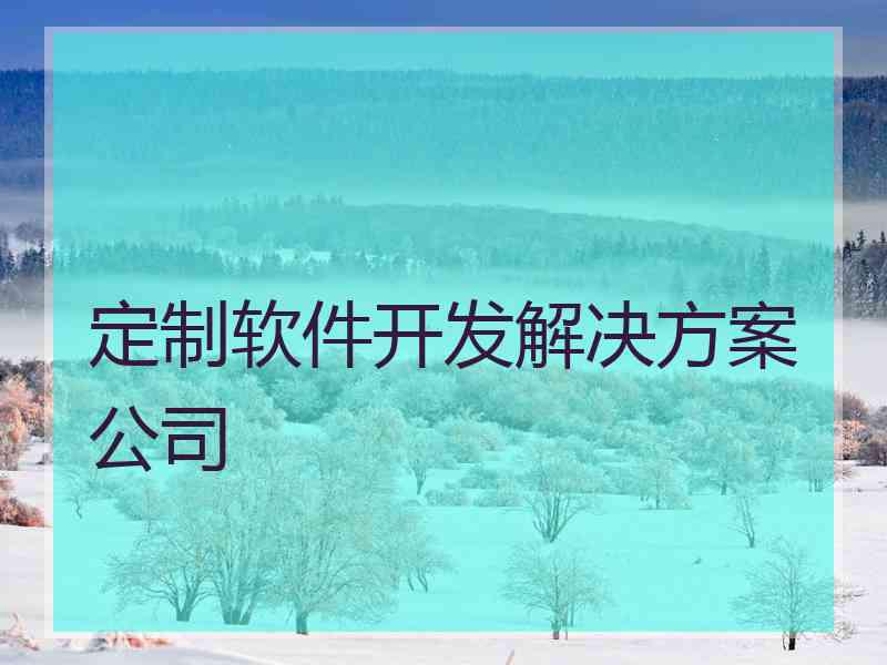 定制软件开发解决方案公司