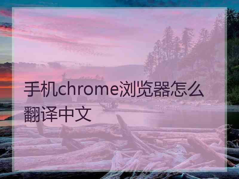 手机chrome浏览器怎么翻译中文