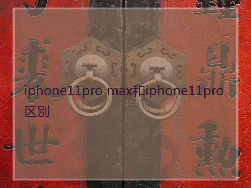 iphone11pro max和iphone11pro区别