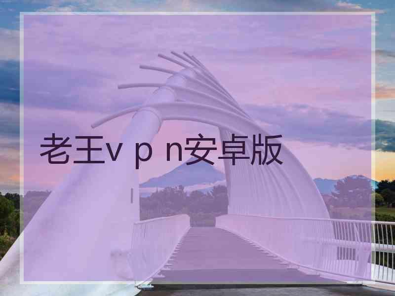 老王v p n安卓版