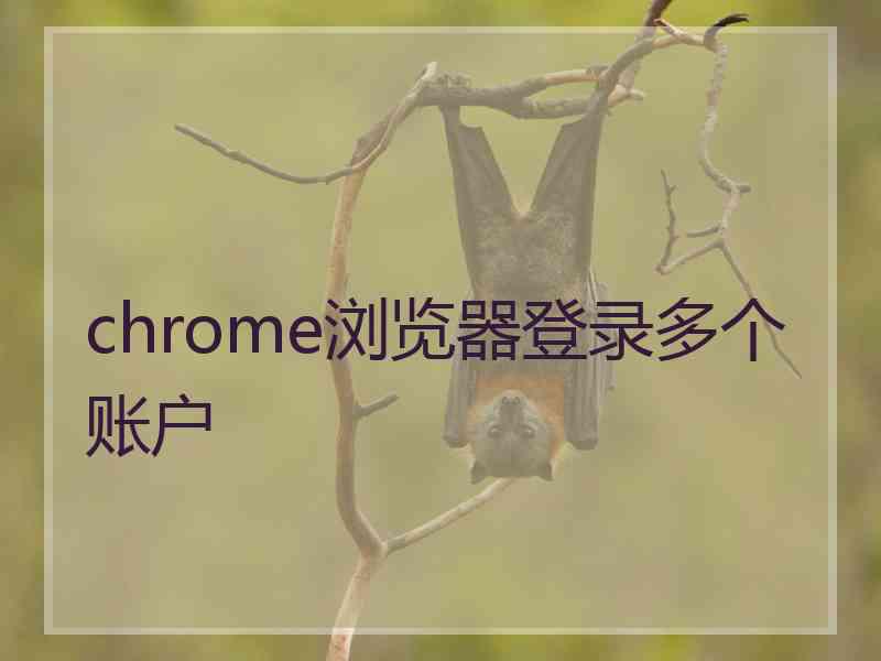 chrome浏览器登录多个账户