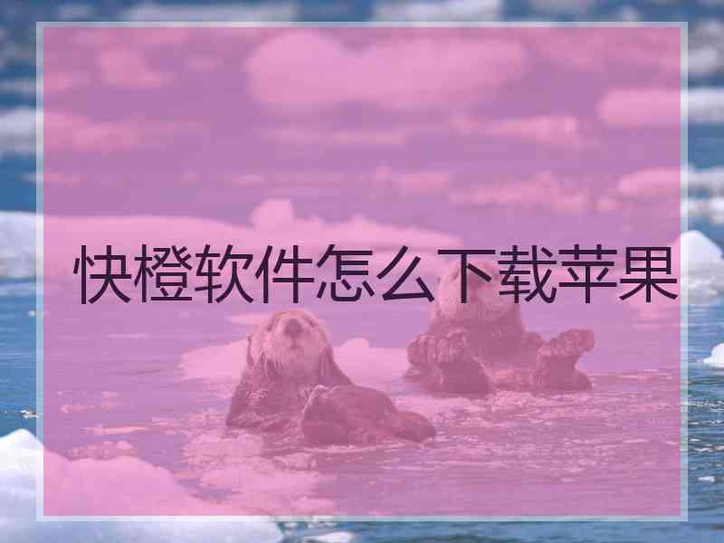 快橙软件怎么下载苹果