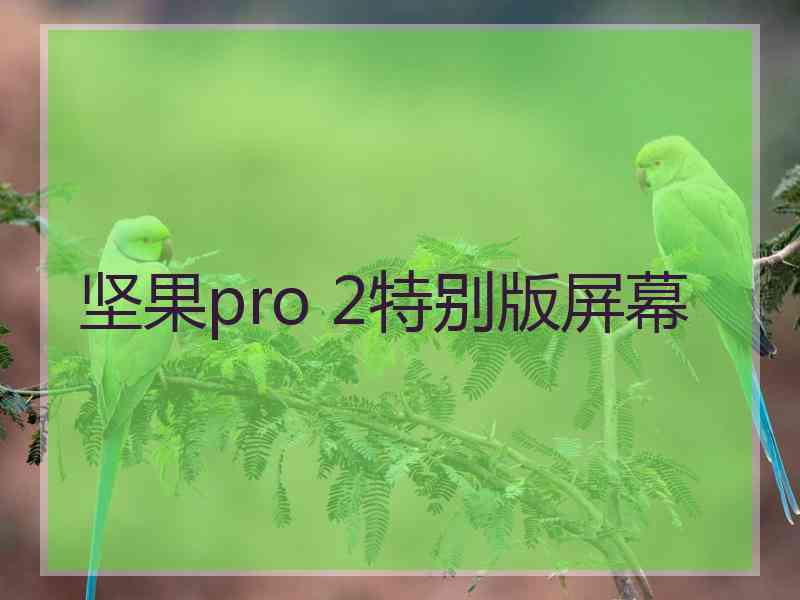 坚果pro 2特别版屏幕