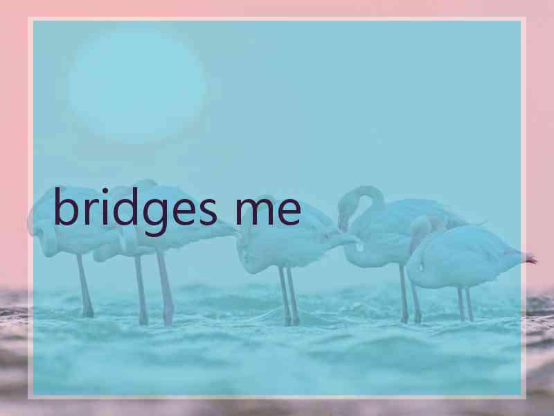 bridges me