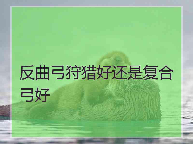 反曲弓狩猎好还是复合弓好