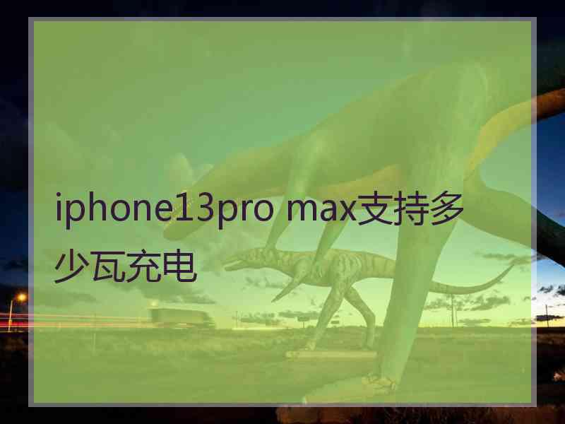 iphone13pro max支持多少瓦充电