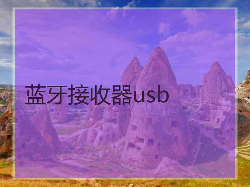 蓝牙接收器usb