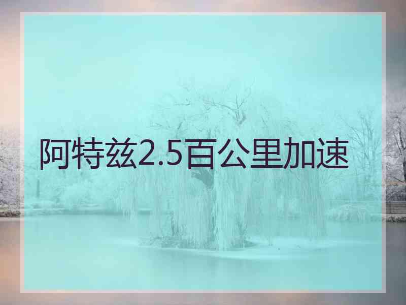 阿特兹2.5百公里加速