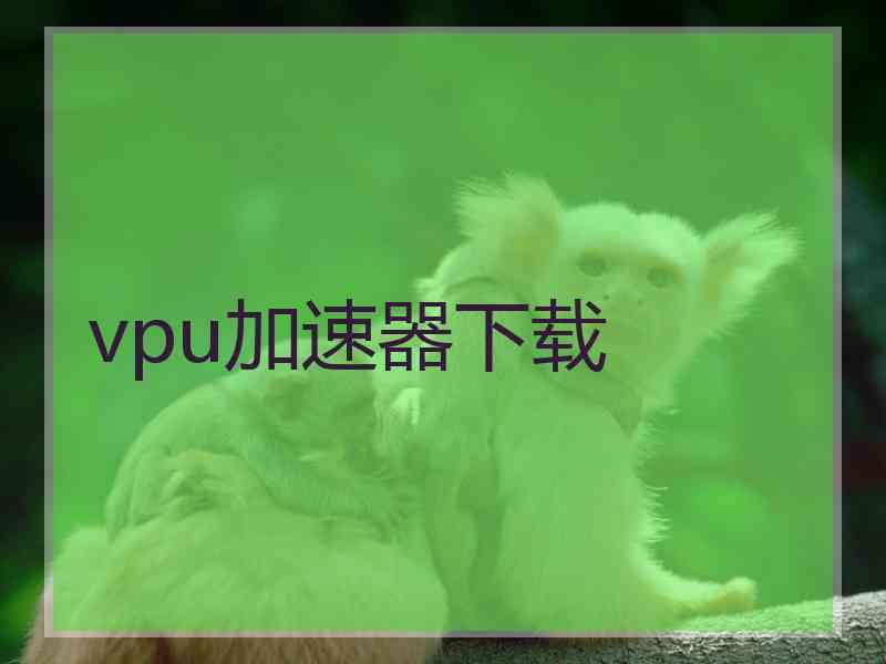 vpu加速器下载