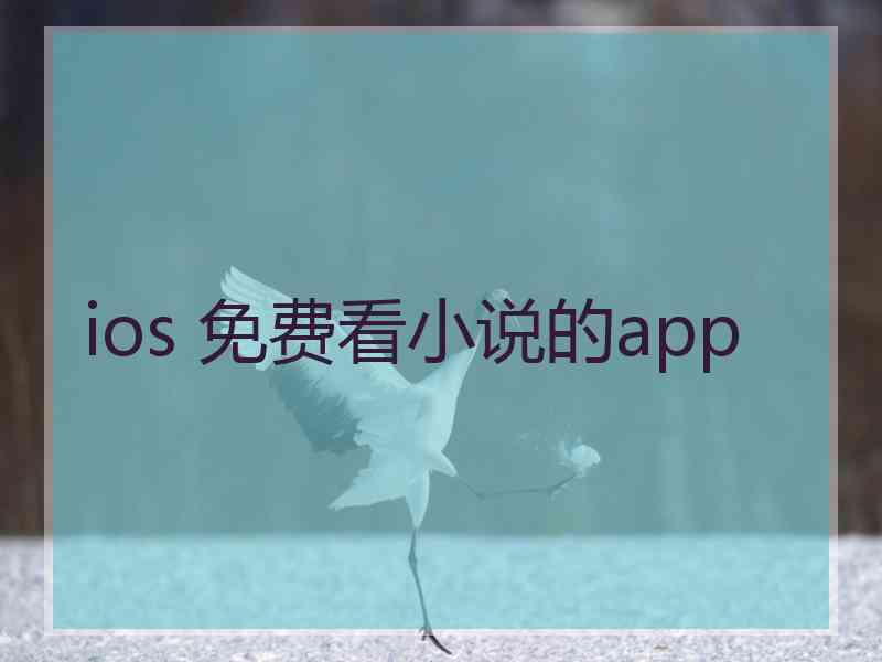 ios 免费看小说的app