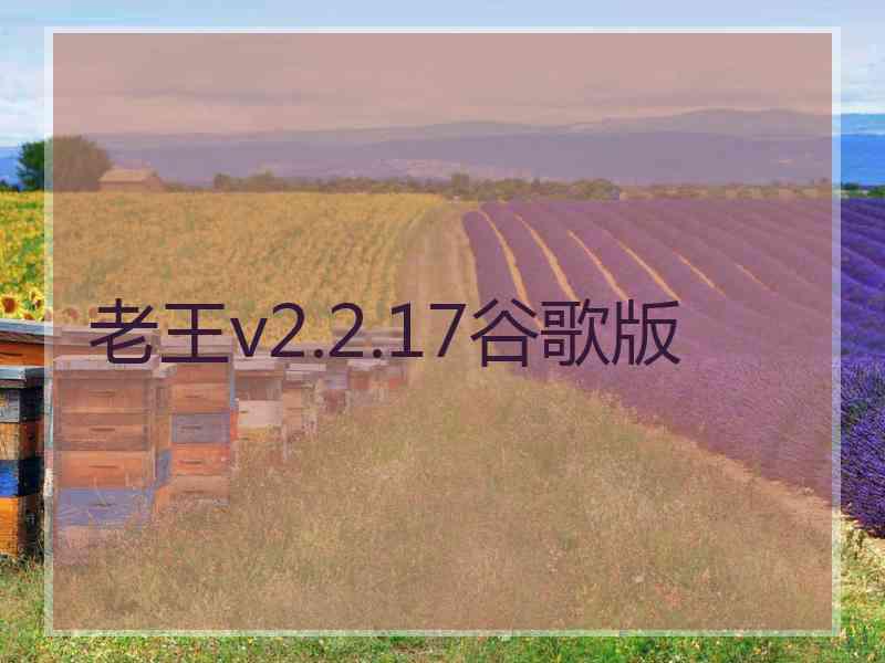 老王v2.2.17谷歌版