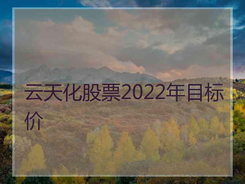 云天化股票2022年目标价