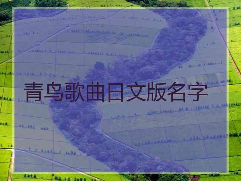 青鸟歌曲日文版名字